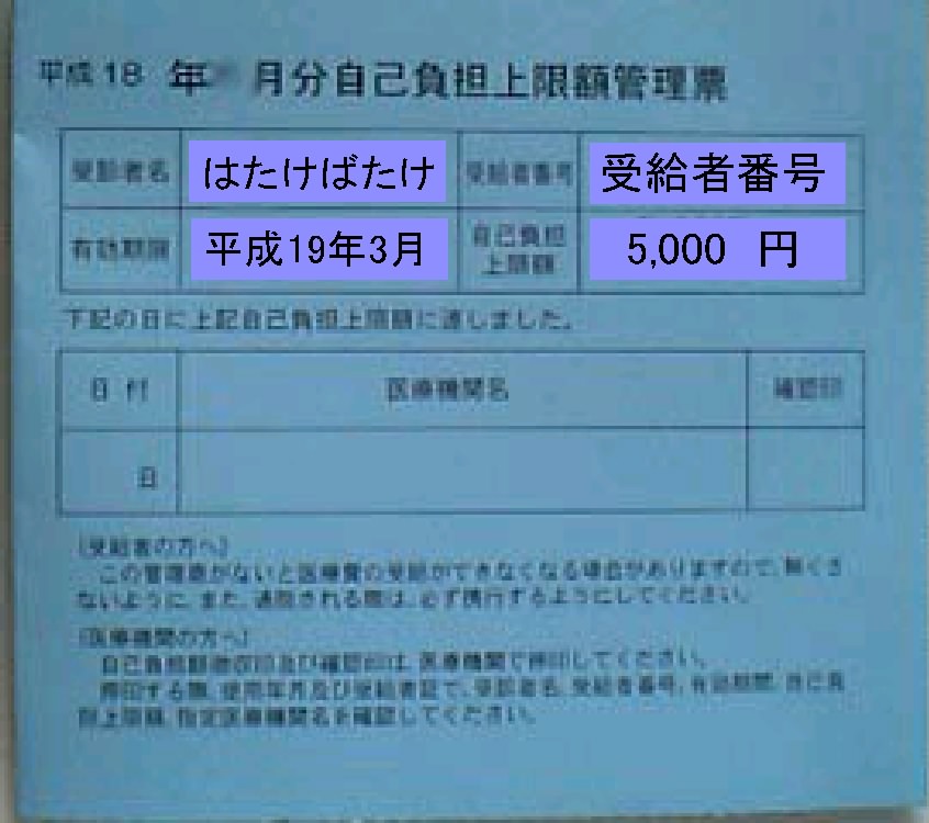 本則支給の管理票 本則支給の管理票